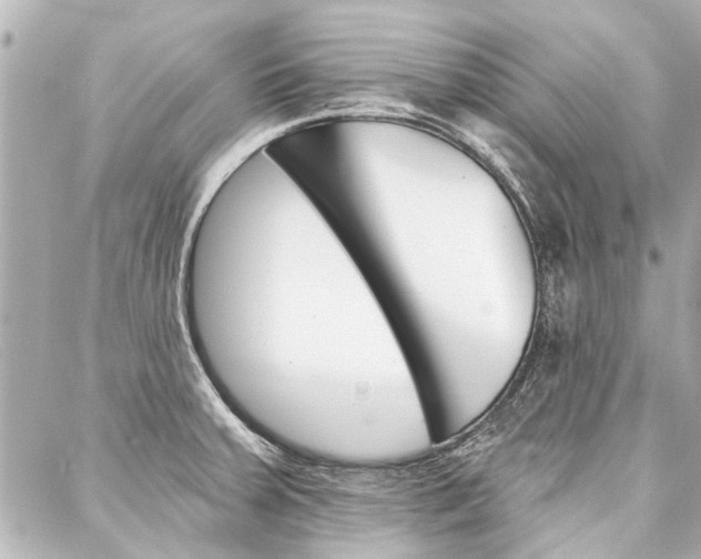 X0000088201379200705151015