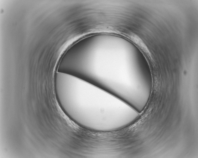 X0000088201380200705151015