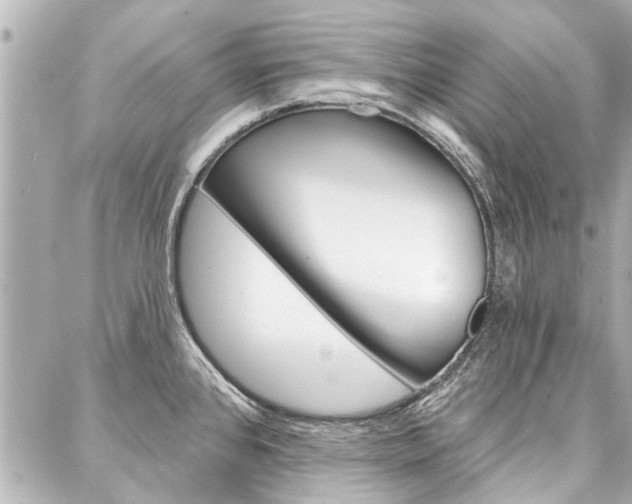 X0000088201384200705151015