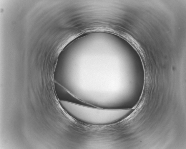 X0000088201385200705151015