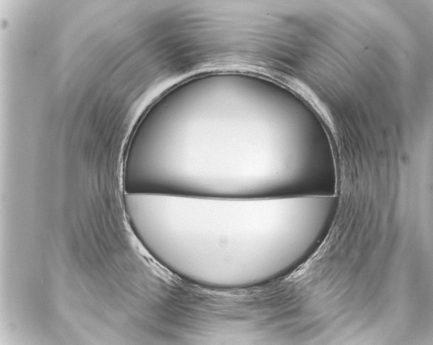 X0000088201388200705151015