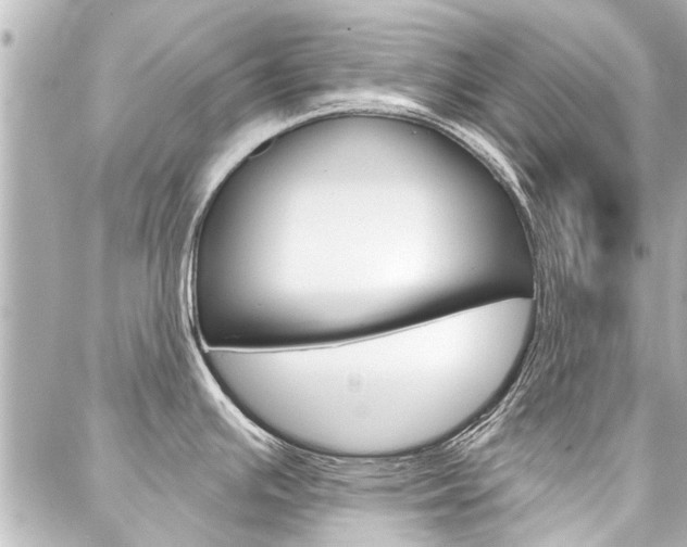 X0000088201391200705151015