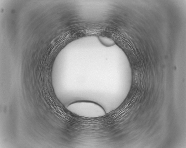 X0000088201393200705151014