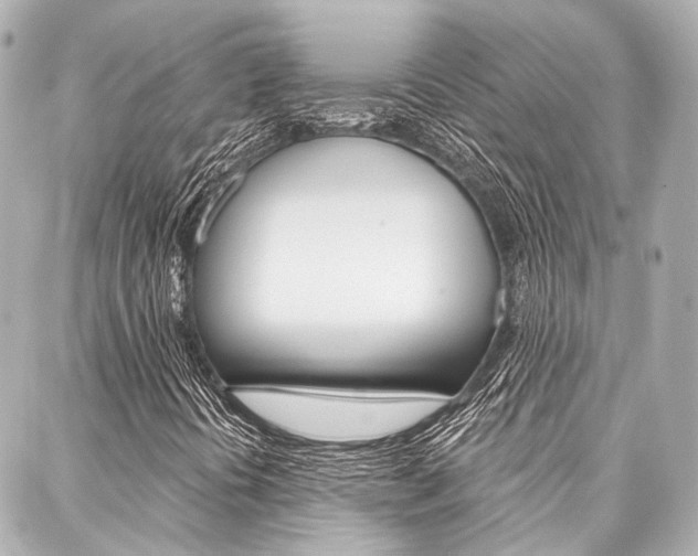 X0000088201394200705151014