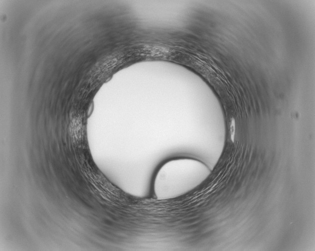 X0000088201395200705151014