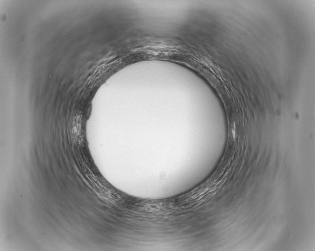 X0000088201396200705151014