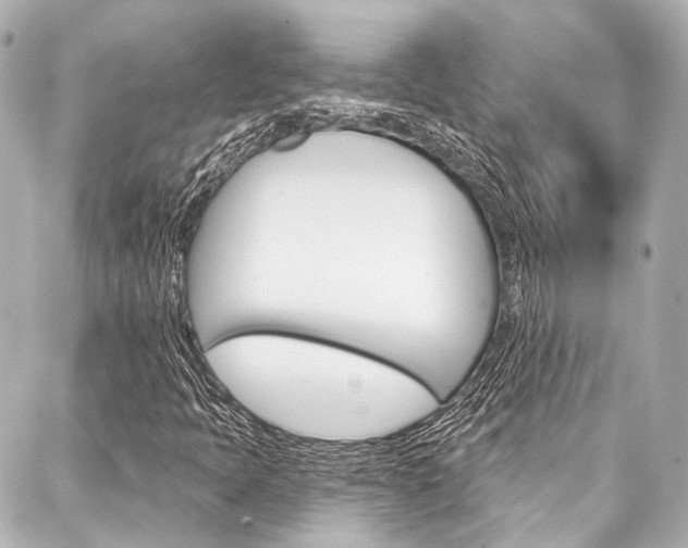 X0000088201397200705151014