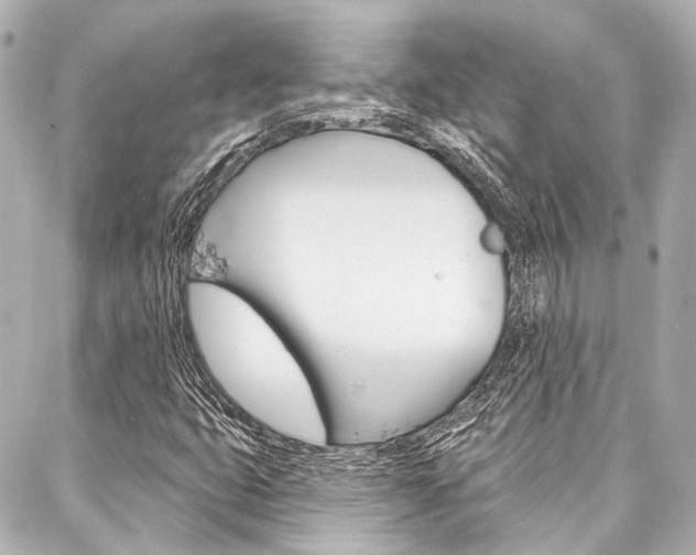 X0000088201399200705151014