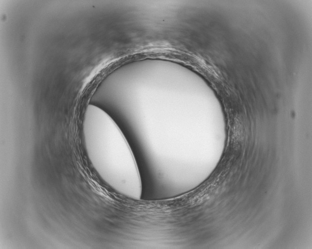 X0000088201400200705151014