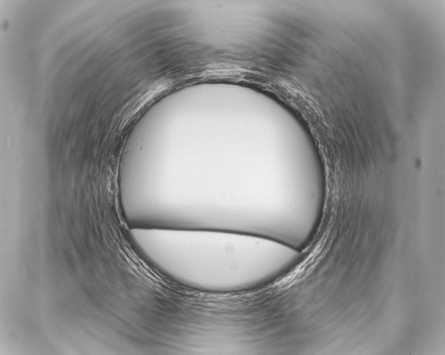 X0000088201401200705151014