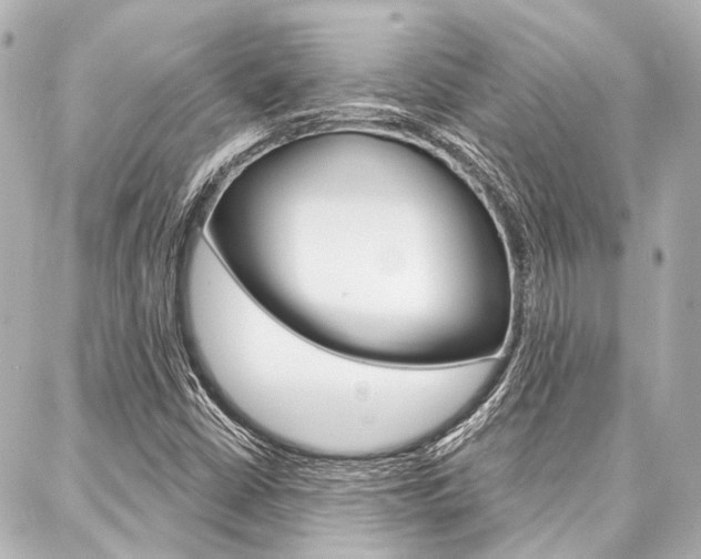 X0000088201402200705151014