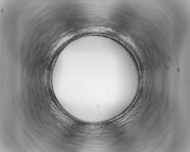 X0000088201404200705151014