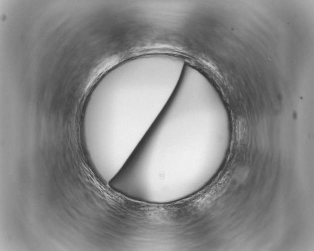 X0000088201405200705151014