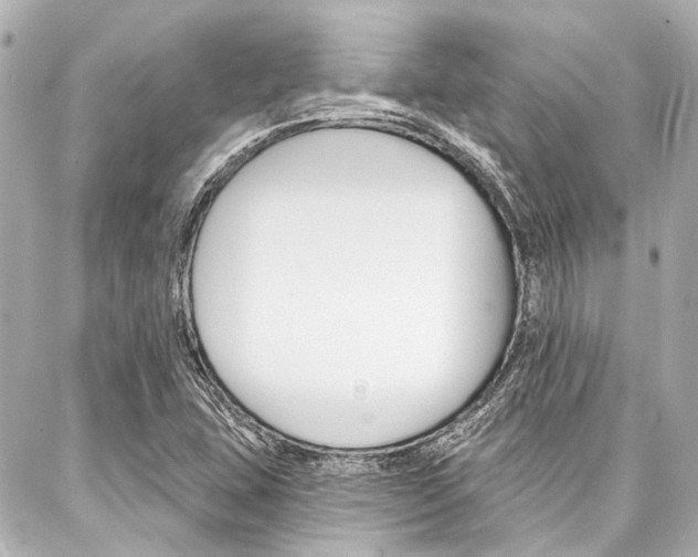 X0000088201407200705151014