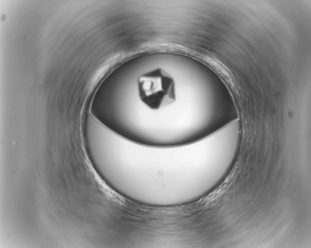 X0000088201430200705151014