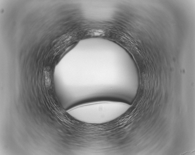 X0000088201442200705151014