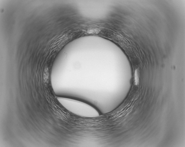 X0000088201443200705151014