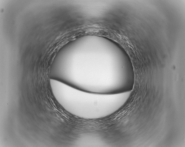 X0000088201445200705151014
