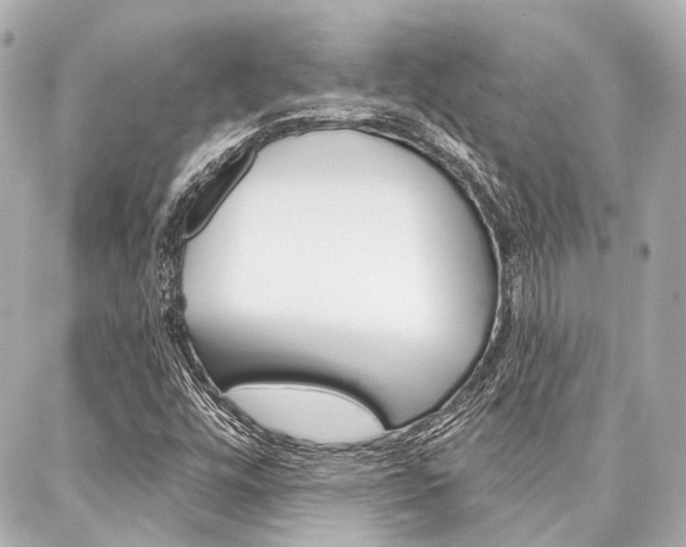 X0000088201448200705151014