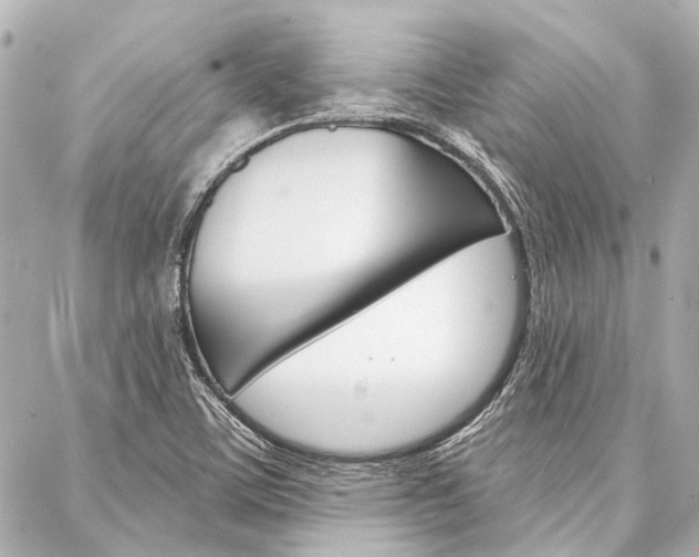 X0000088201459200705151014
