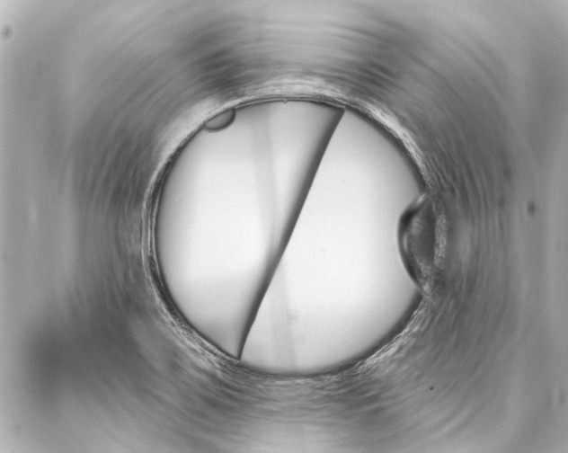 X0000088201467200705151013