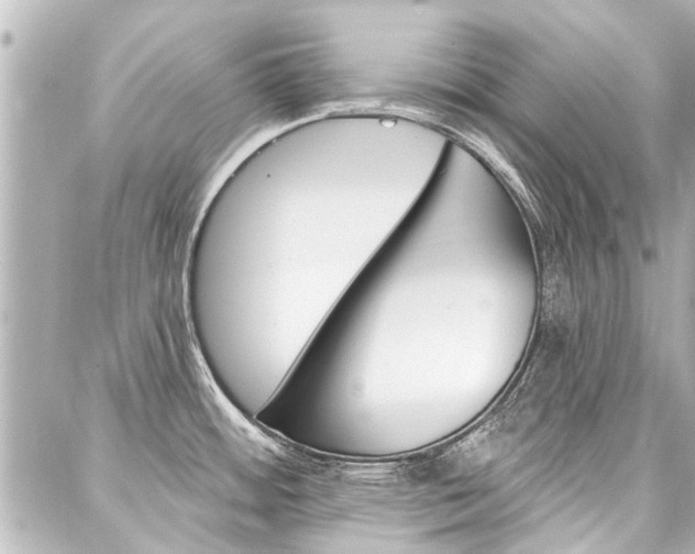 X0000088201484200705151013