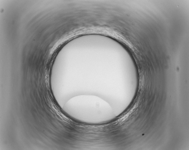 X0000088201498200705151012