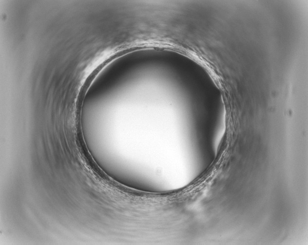 X0000088200008200705151324