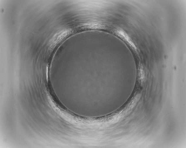 X0000088200014200705151324