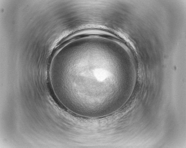 X0000088200015200705151324