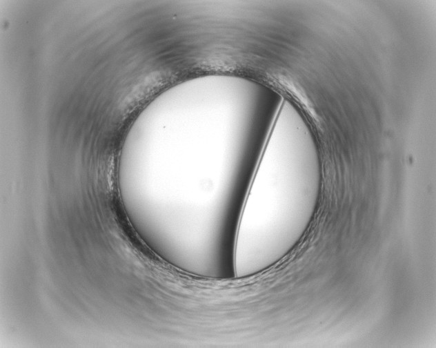 X0000088200023200705151324