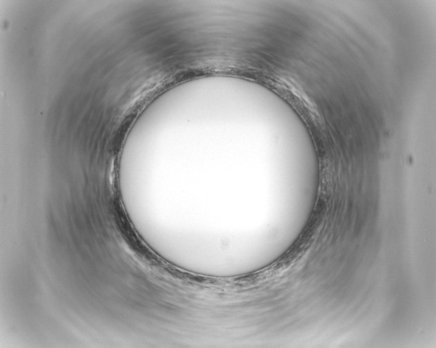 X0000088200024200705151324