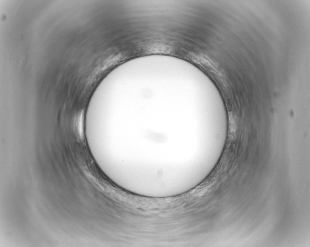 X0000088200028200705151324