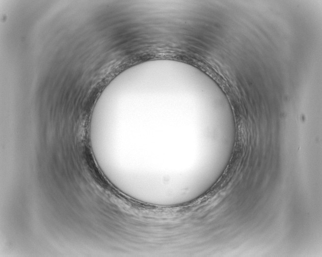 X0000088200032200705151324