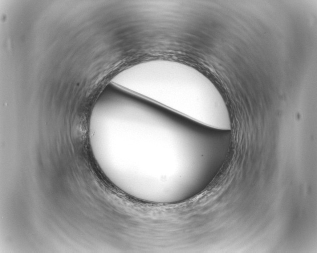 X0000088200040200705151324
