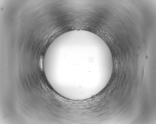 X0000088200042200705151324