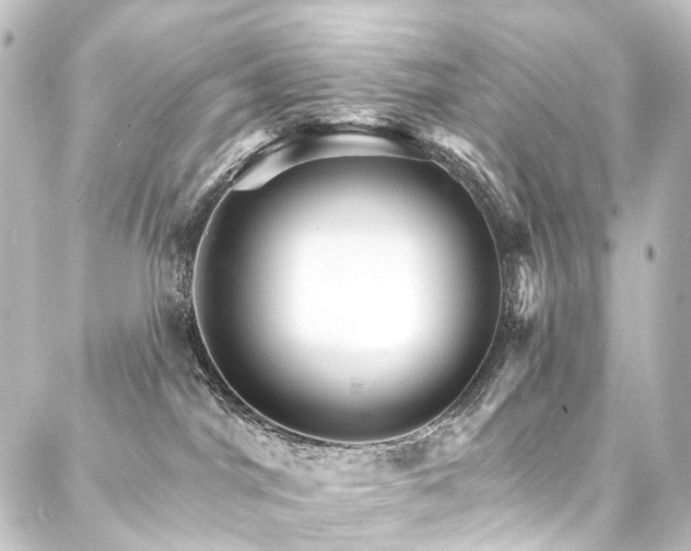 X0000088200044200705151324