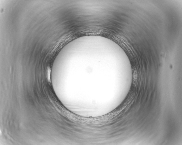 X0000088200046200705151323