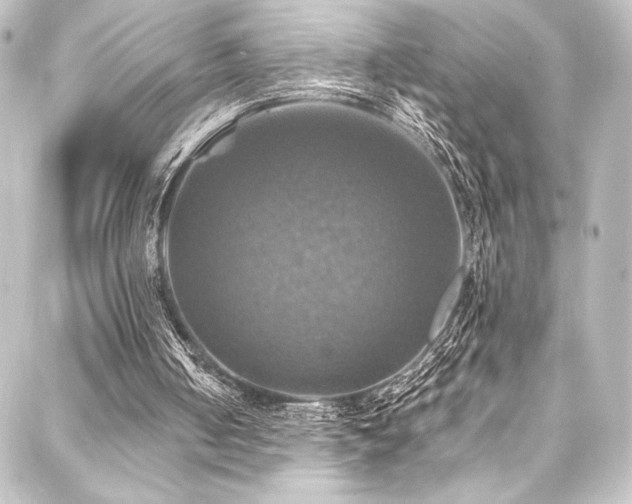 X0000088200050200705151323