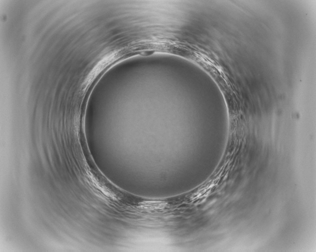 X0000088200051200705151323