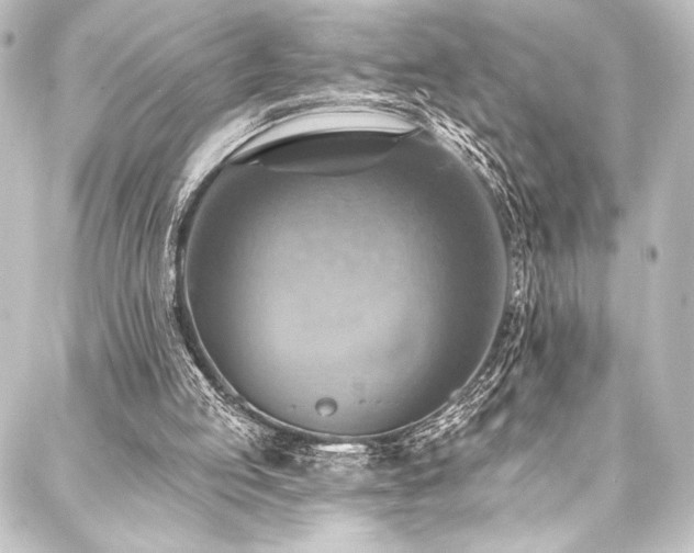 X0000088200053200705151323