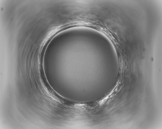 X0000088200055200705151323