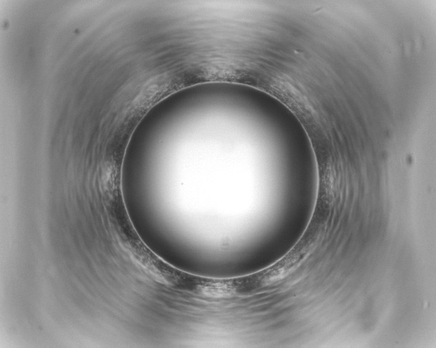 X0000088200079200705151323