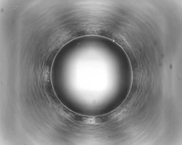 X0000088200083200705151323
