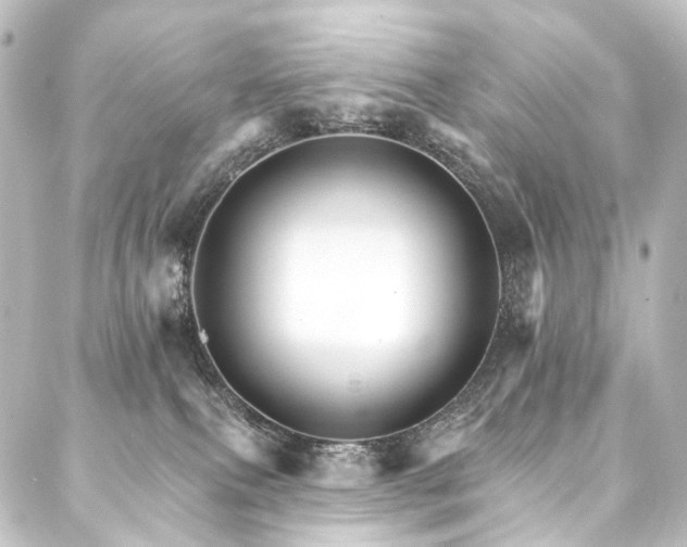 X0000088200087200705151323