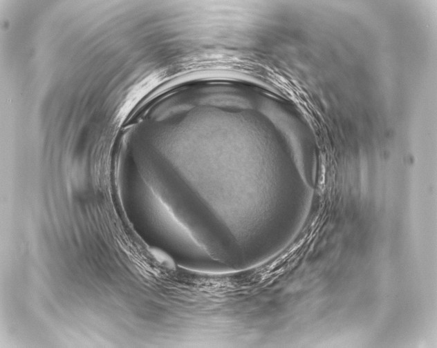 X0000088200099200705151323