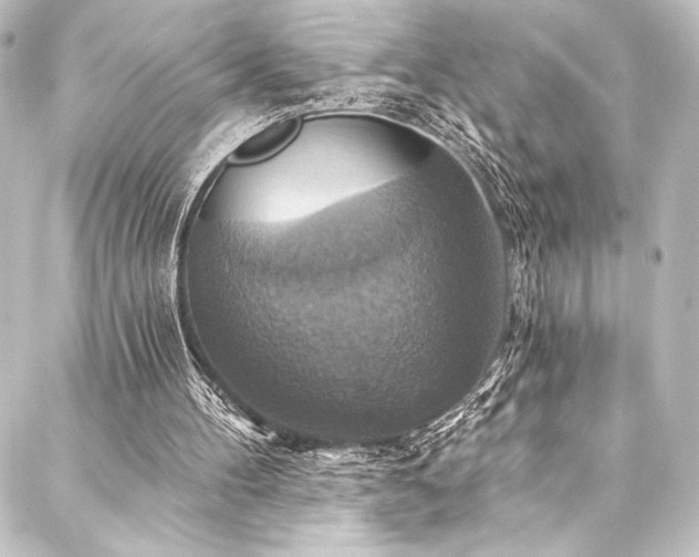 X0000088200100200705151323