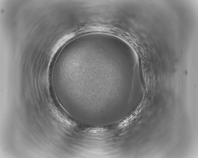 X0000088200104200705151323