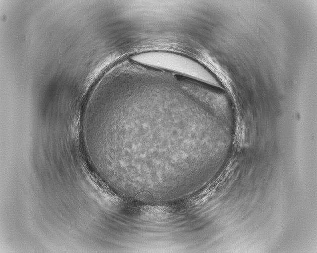 X0000088200107200705151323