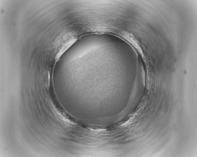 X0000088200109200705151322